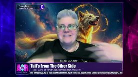 Tail’s From The Other Side – February 12, 2026