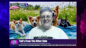 Tail’s From The Other Side – April 23, 2026